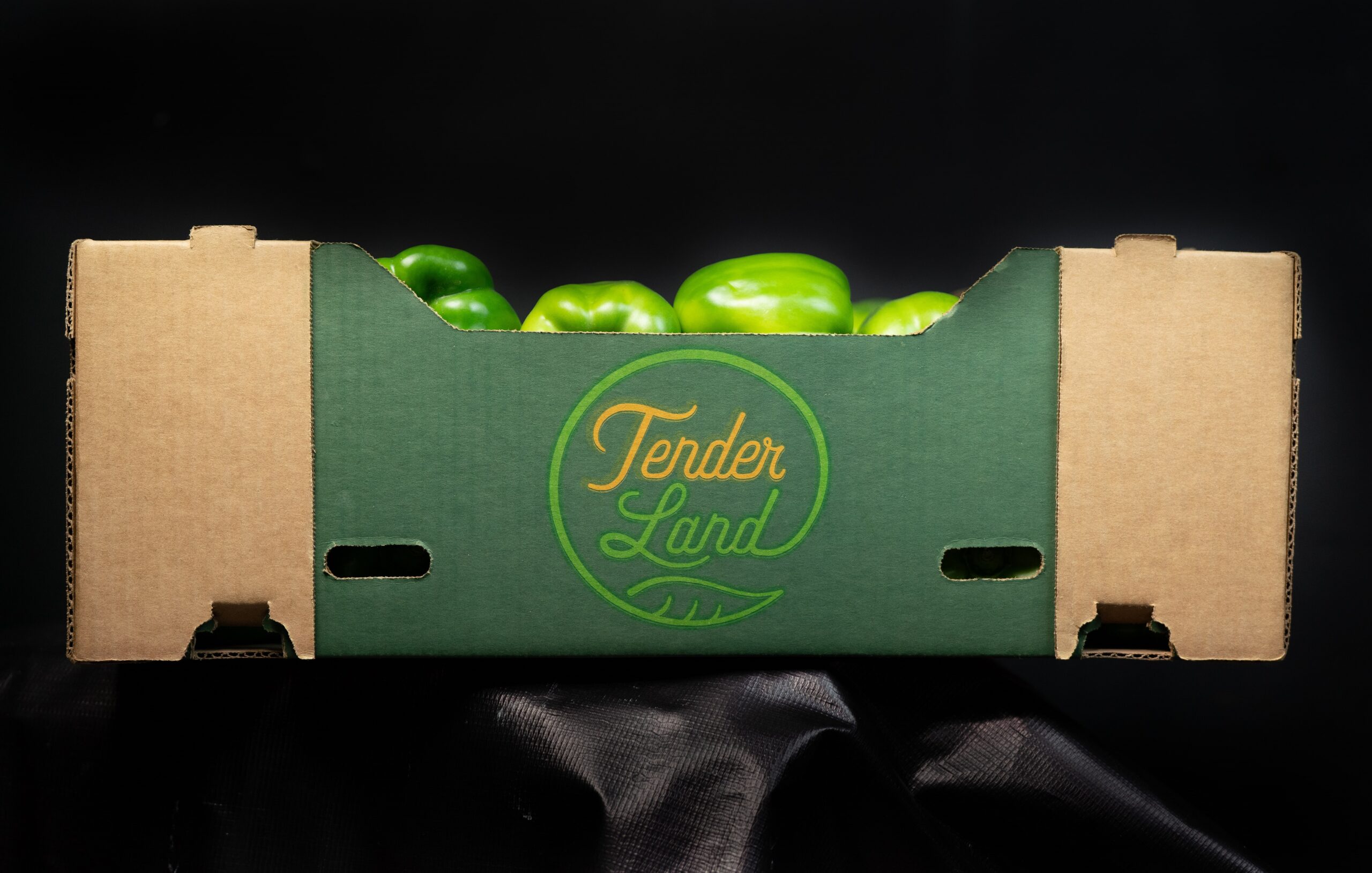 FOTOS SL 19-min PIXELES